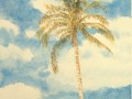 Palm-Tree
