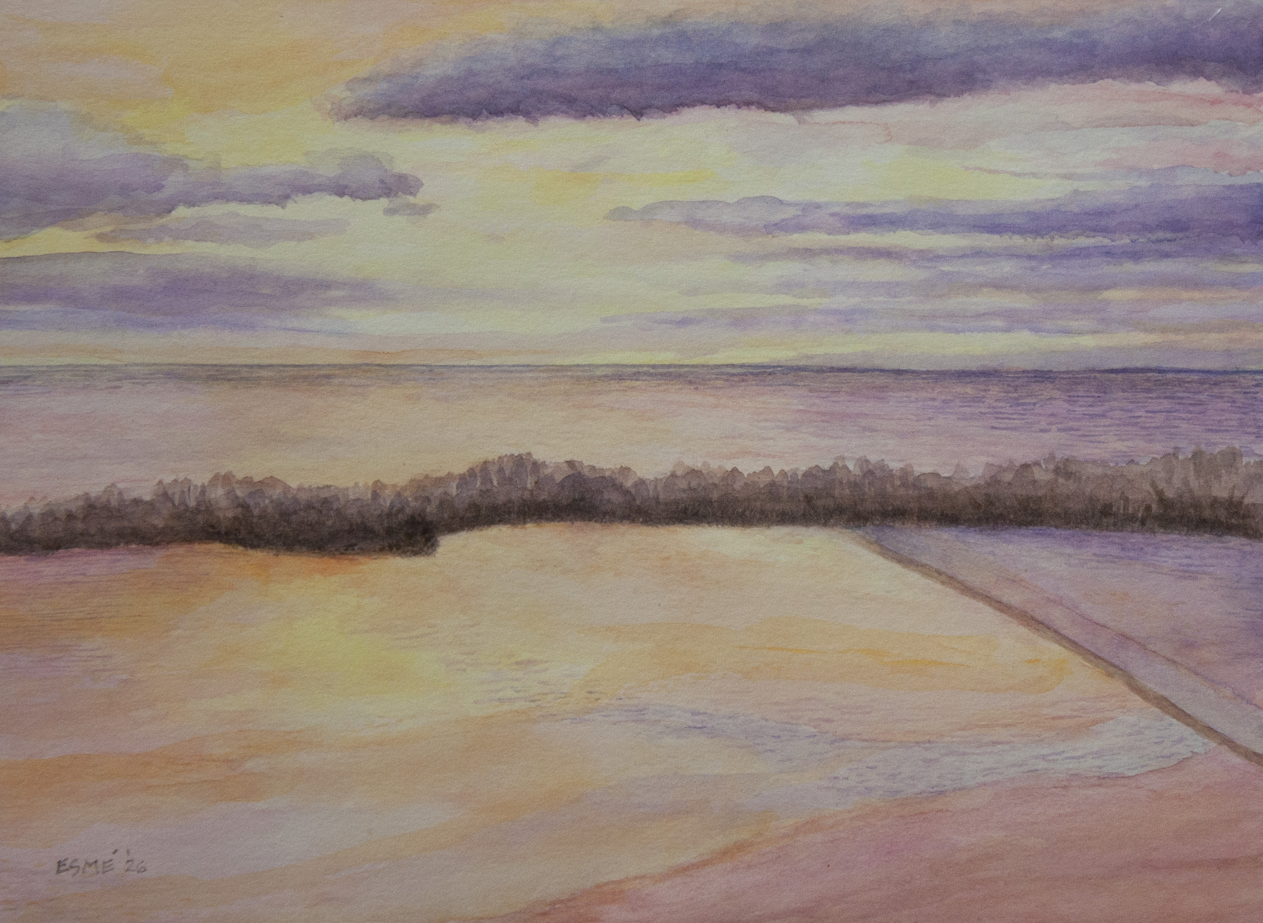 Lavender-Sunset