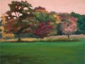 Across The Lawn