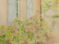 Provence
