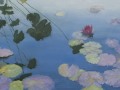 Bronx Water Lilies