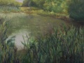 Pond View 1