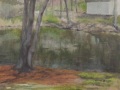 Silvermine Pond View