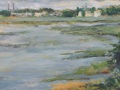 Spring View from Milford Audobon Sanctuary