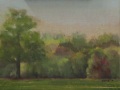 Waveny Park in Spring