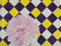 Pink-Hollyhock-1