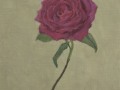 Red-Rose-I-2020_08_10-00_43_36-UTC